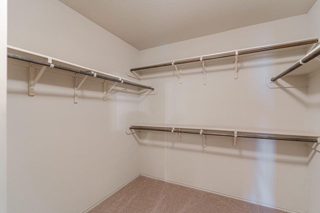 2007 Naplechase Crest Drive, Spring, TX 77373