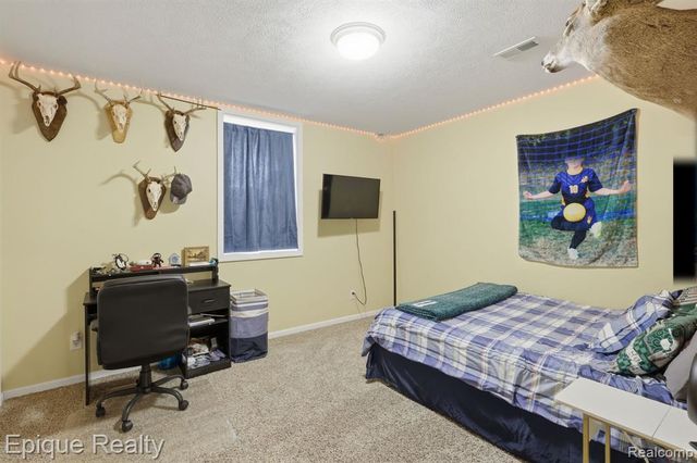 22550 W Ferden Road, Bannister, MI 48807