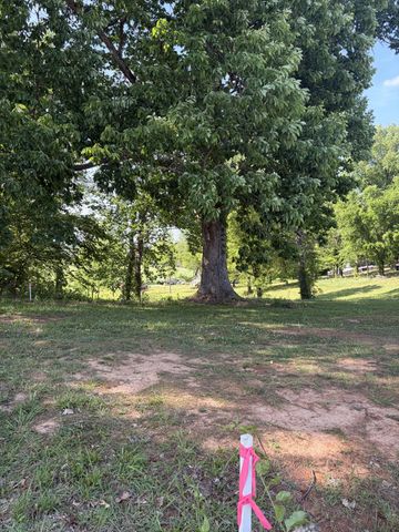 0 Old Morrison Road, Mcminnville, TN 37110