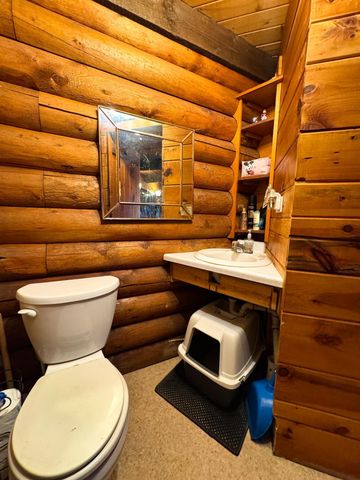 4787 Whitetail Road NE, Bemidji, MN 56601