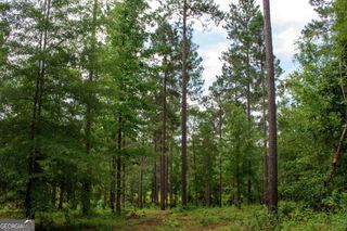 139 Overlook Drive, Eatonton, GA 31024