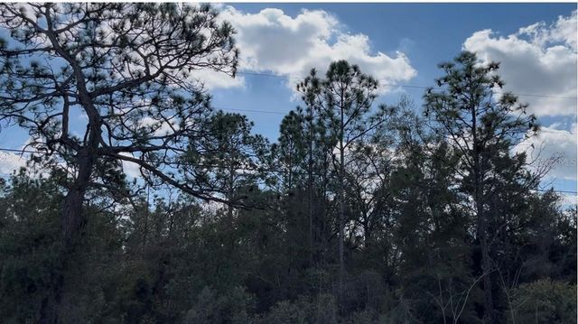 12270 PEACEFUL AVENUE, Weeki Wachee, FL 34614