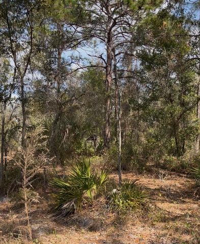 12270 PEACEFUL AVENUE, Weeki Wachee, FL 34614