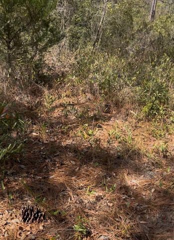 12270 PEACEFUL AVENUE, Weeki Wachee, FL 34614