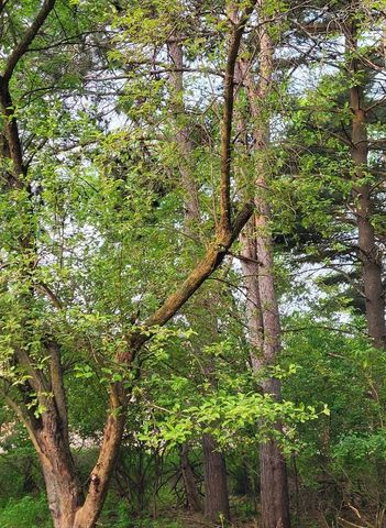 N9407 32nd DRIVE, Berlin, WI 54923