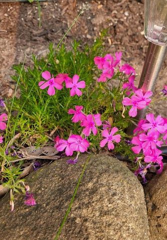 N9407 32nd DRIVE, Berlin, WI 54923