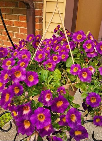 N9407 32nd DRIVE, Berlin, WI 54923