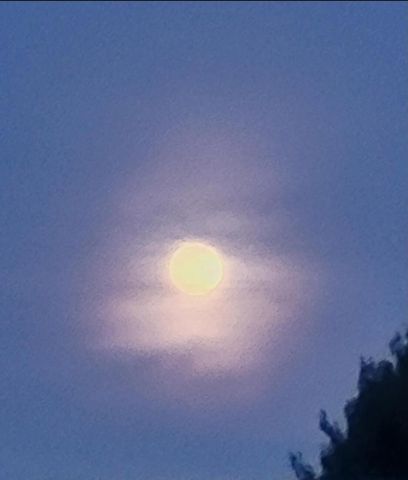 N9407 32nd DRIVE, Berlin, WI 54923