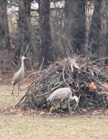 N9407 32nd DRIVE, Berlin, WI 54923