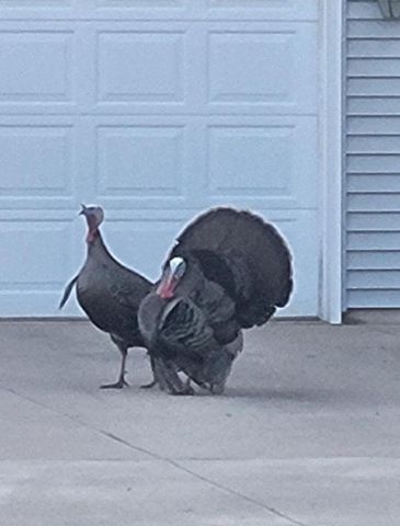 N9407 32nd DRIVE, Berlin, WI 54923