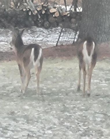 N9407 32nd DRIVE, Berlin, WI 54923