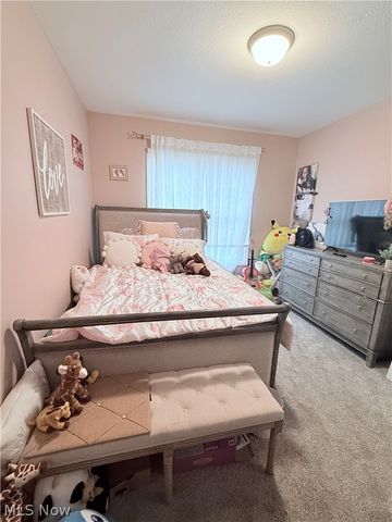 23201 Lakeridge Way, Columbia Station, OH 44028