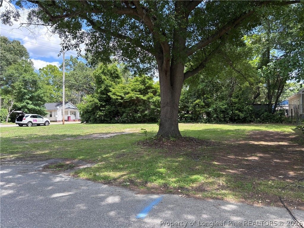 162 Coleman Street, Lumberton, NC 28358 — photo 3