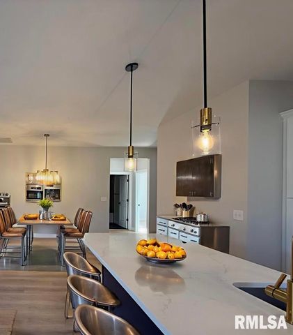 333 S Hanseman Street, Carbondale, IL 62901