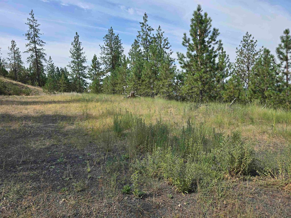 6499 Syringa Way, Nine Mile Falls, WA 99026