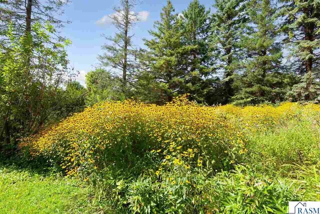 58357 Birch Bluff Lane, North Mankato, MN 56003
