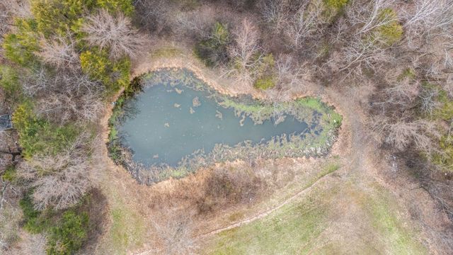 1225 New Hope Rd, Alexandria, TN 37012