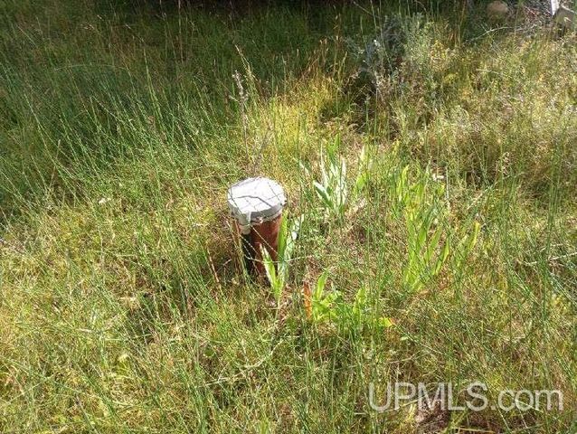 53776 Kuivanen Road, Lake Linden, MI 49945