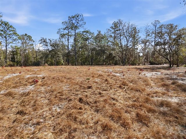 00 NE 78TH TERRACE, Bronson, FL 32621