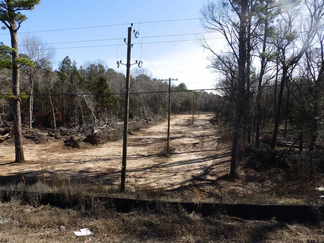 20175 S HWY 155 LOT E-1, Flint, TX 75762