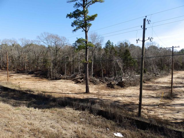 20175 S HWY 155 LOT E-1, Flint, TX 75762