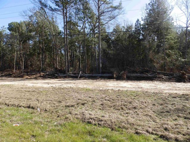 20175 S HWY 155 LOT E-1, Flint, TX 75762