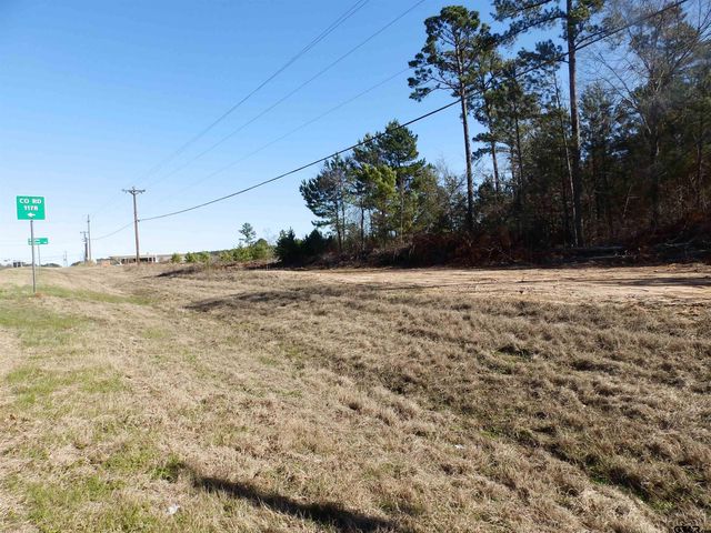 20175 S HWY 155 LOT E-1, Flint, TX 75762
