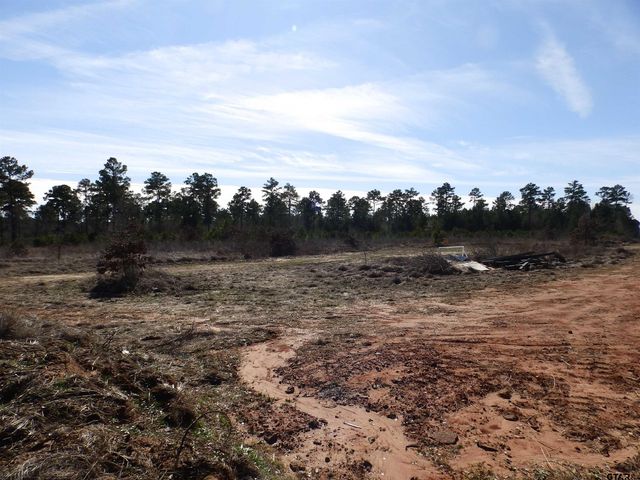 20175 S HWY 155 LOT E-1, Flint, TX 75762