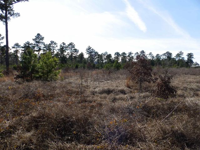 20175 S HWY 155 LOT E-1, Flint, TX 75762