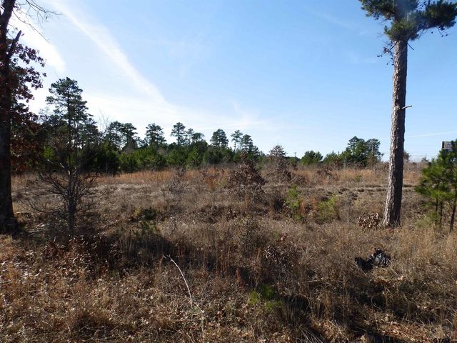 20175 S HWY 155 LOT E-1, Flint, TX 75762