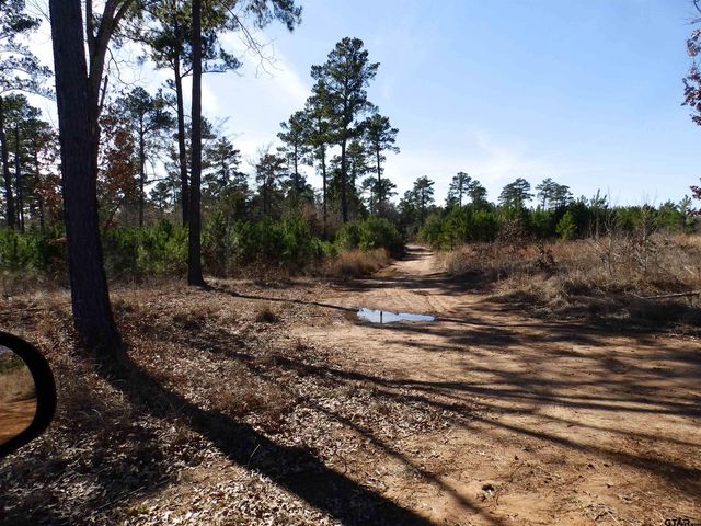 20175 S HWY 155 LOT E-1, Flint, TX 75762