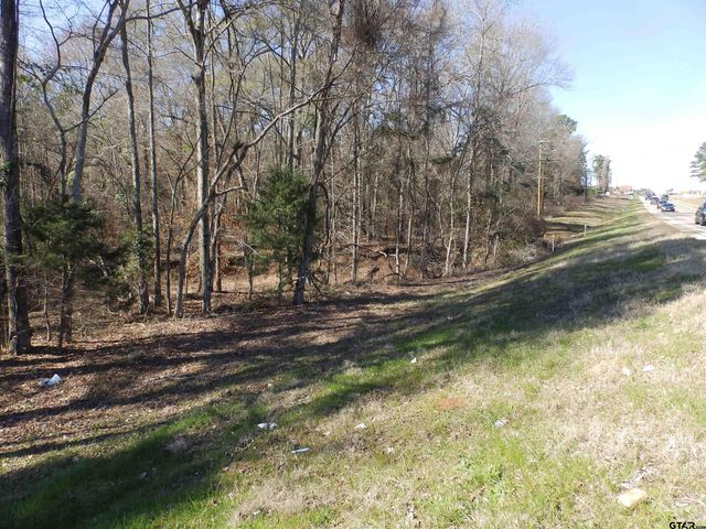 20175 S HWY 155 LOT E-1, Flint, TX 75762