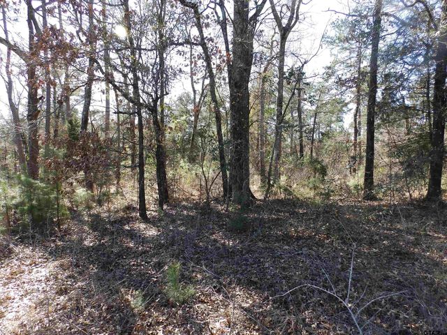 20175 S HWY 155 LOT E-1, Flint, TX 75762