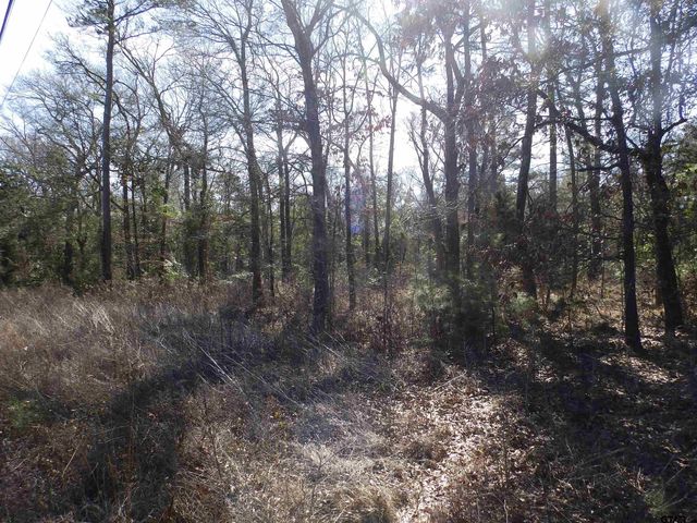 20175 S HWY 155 LOT E-1, Flint, TX 75762