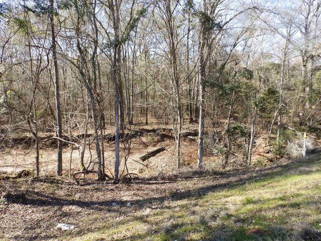 20175 S HWY 155 LOT E-1, Flint, TX 75762