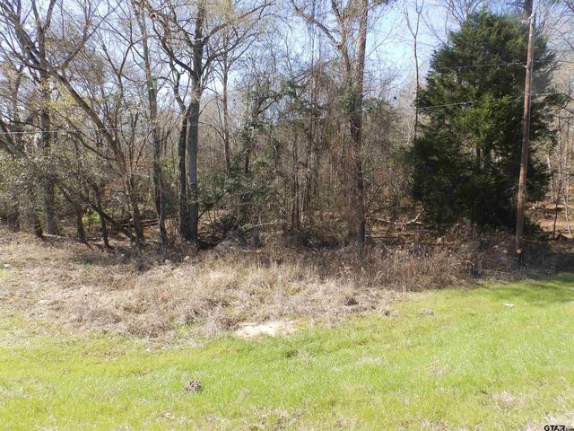 20175 S HWY 155 LOT E-1, Flint, TX 75762