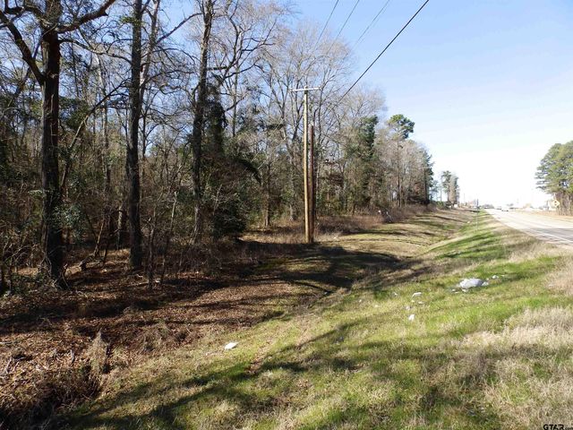 20175 S HWY 155 LOT E-1, Flint, TX 75762