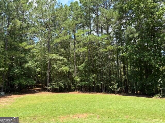 223 NORTH COVE Drive, Newnan, GA 30263