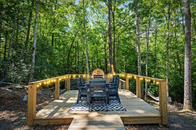 223 Laurel Trace, Blue Ridge, GA 30513