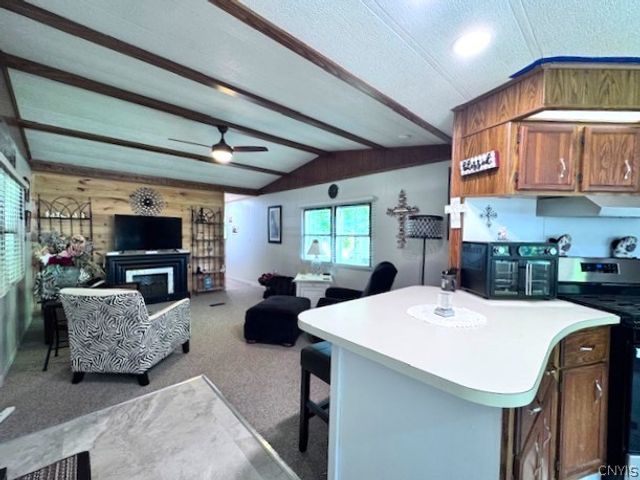 254 Blossom Lane, Schuyler, NY 13502