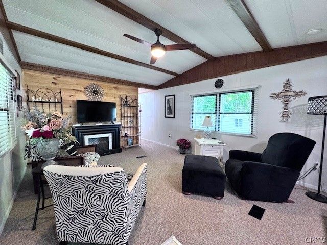 254 Blossom Lane, Schuyler, NY 13502