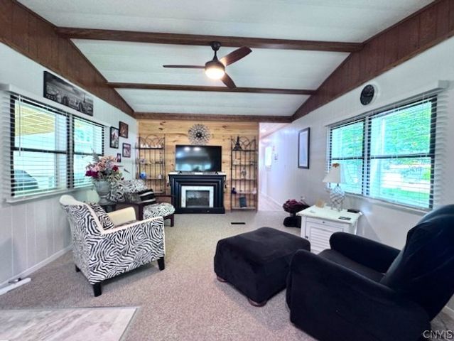254 Blossom Lane, Schuyler, NY 13502