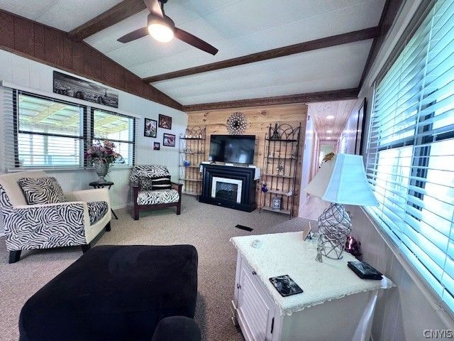 254 Blossom Lane, Schuyler, NY 13502