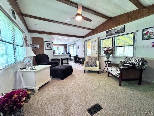 254 Blossom Lane, Schuyler, NY 13502