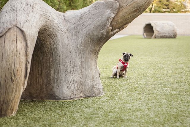 2550 N Lakeview Avenue N1604, Chicago, IL 60614