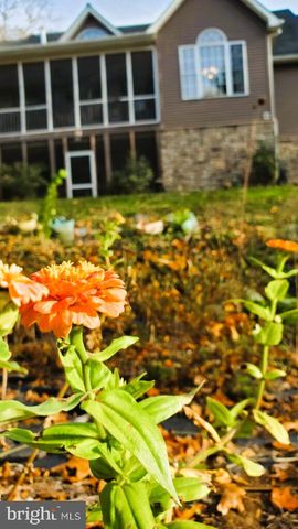 201 LIBERTY LN, Middletown, VA 22645