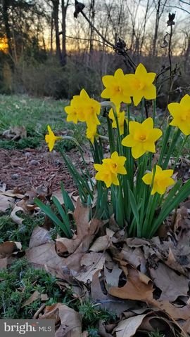 201 LIBERTY LN, Middletown, VA 22645