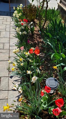 201 LIBERTY LN, Middletown, VA 22645