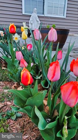 201 LIBERTY LN, Middletown, VA 22645