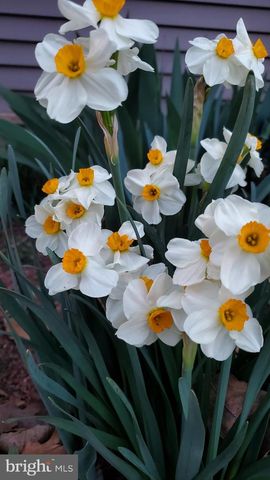 201 LIBERTY LN, Middletown, VA 22645